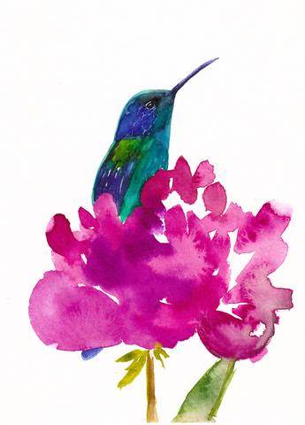 Hummingbird in a Peony Art Print