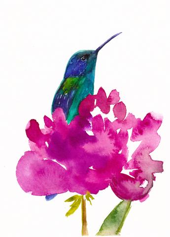 Hummingbird in a Peony Art Print