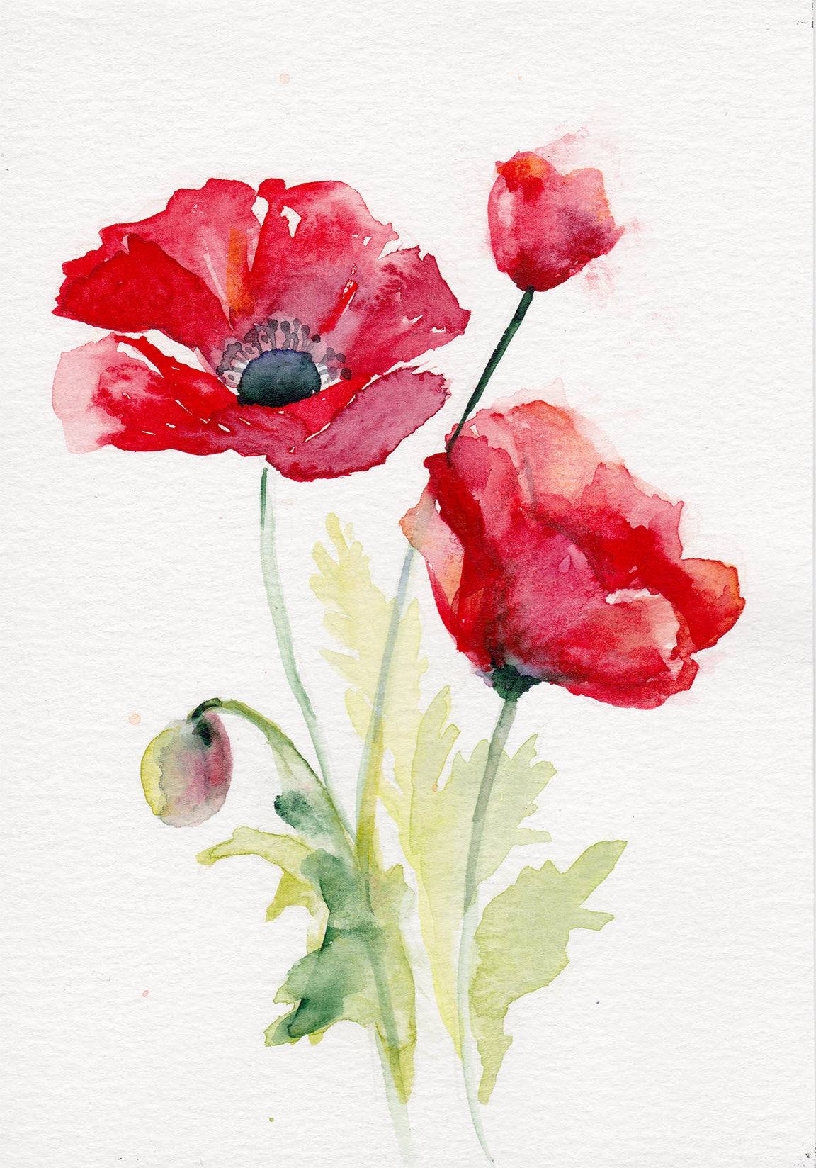 Poppy August birth flower vibrant art print with bright red flowers on archival-quality paper or canvas