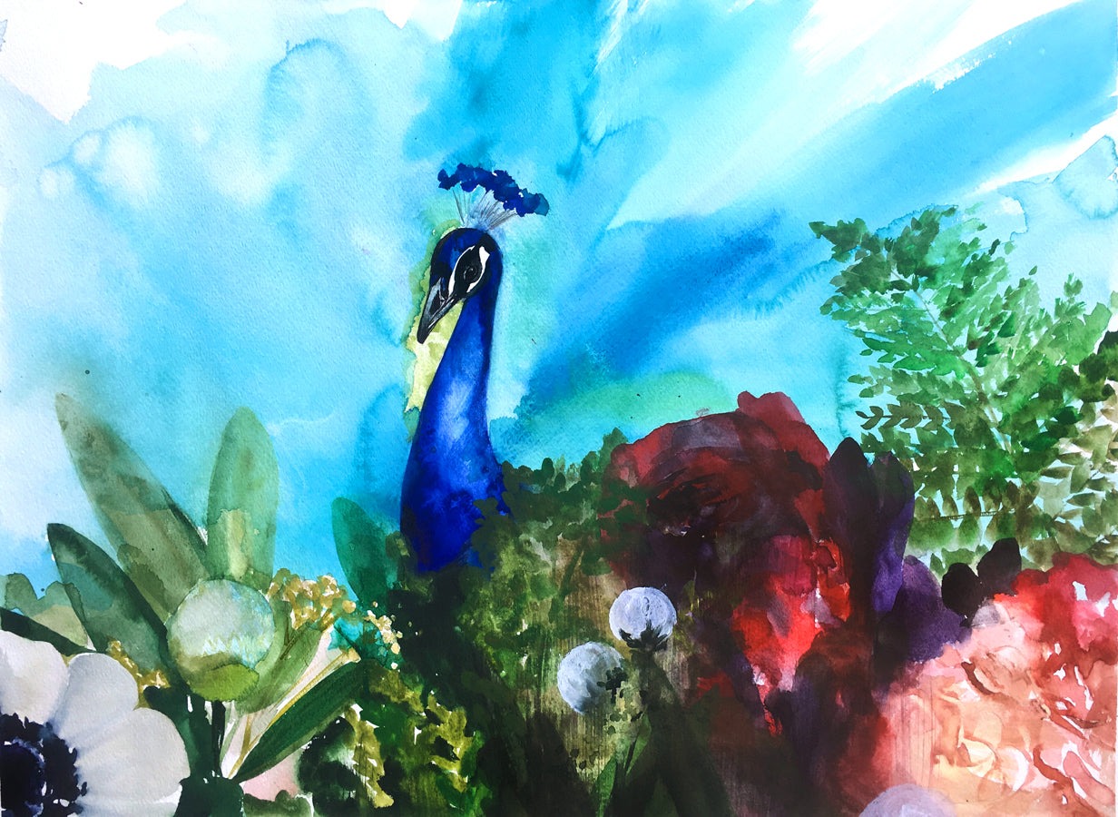 Peacock Garden II Art Print