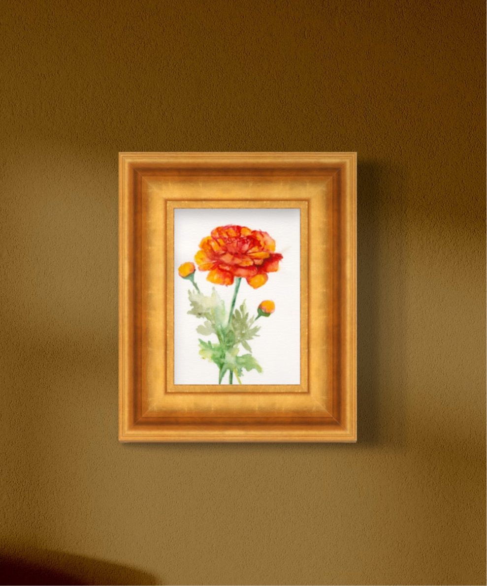 Marigold - October Birth Flower Original Painting