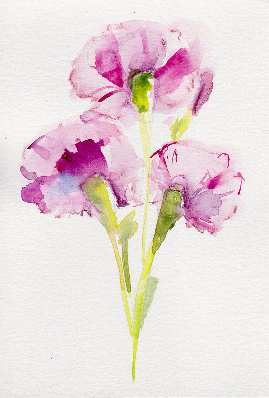 Carnation - January Birth Flower Original Painting