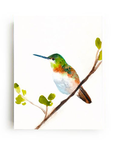 Hummingbird Art Print