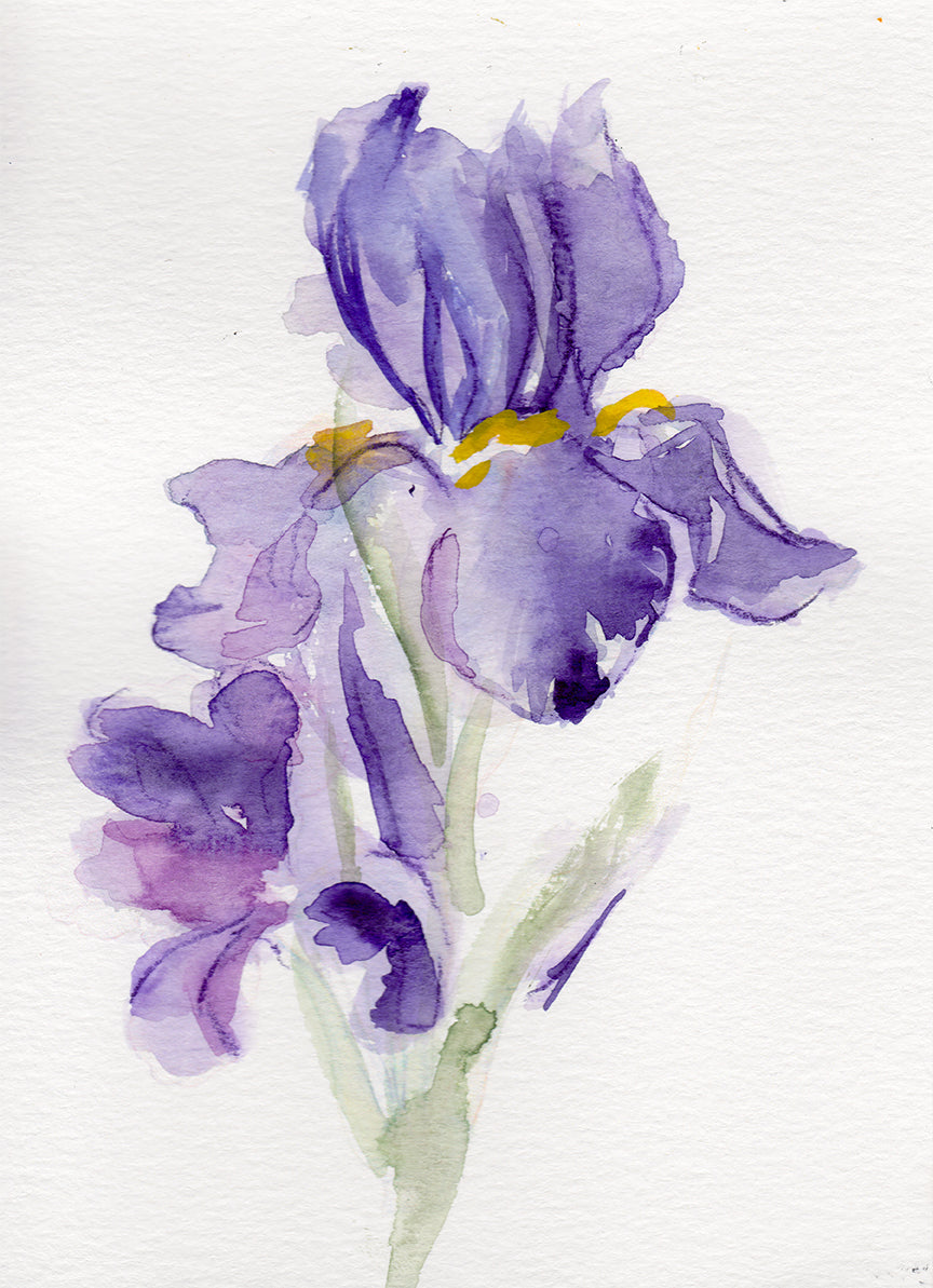 Iris II - February Birth Flower Original Painting