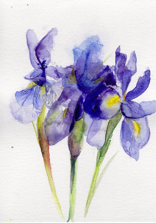 Iris February birth flower art print on matte cotton canvas
