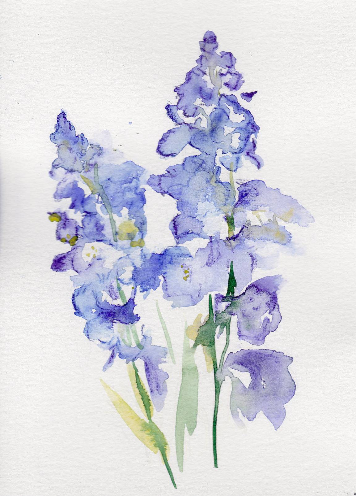 Larkspur July birth flower art print with delicate purple flowers on white background