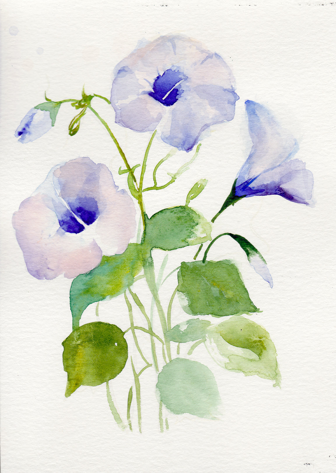 Morning Glory - September Birth Flower Original Painting