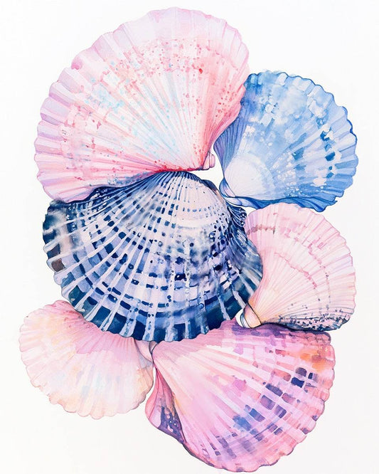She Sells Seashells art print with coastal seashell design and seaside charm