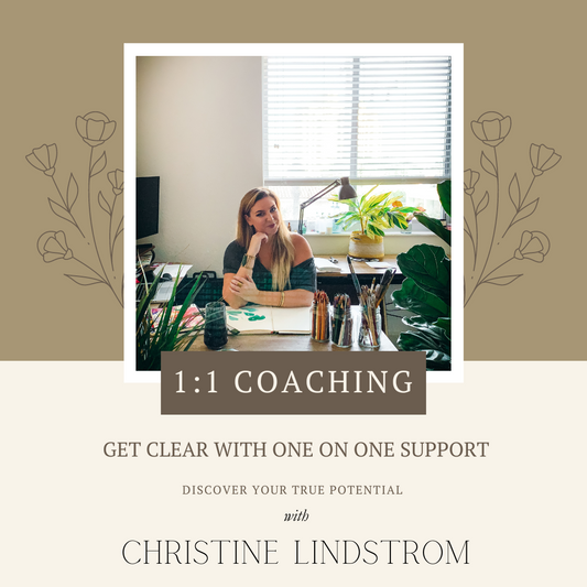 One on One Mentorship Sessions with Christine Lindstrom