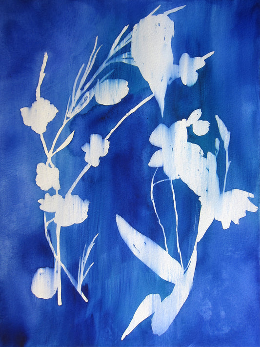 Cyanotype Art Print