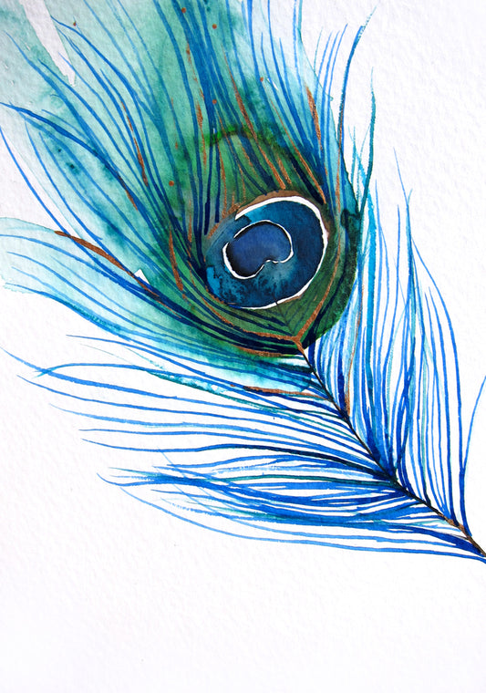 Peacock Feather Art Print