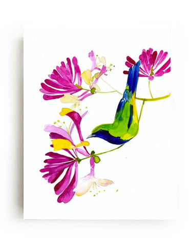 Honeysuckle Art Print