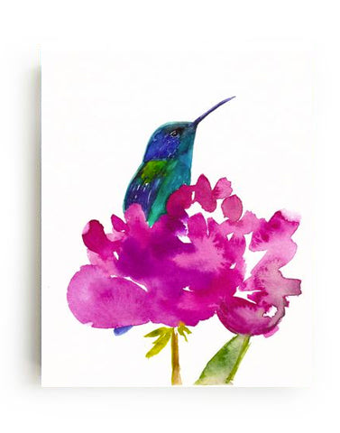 Hummingbird in a Peony Art Print