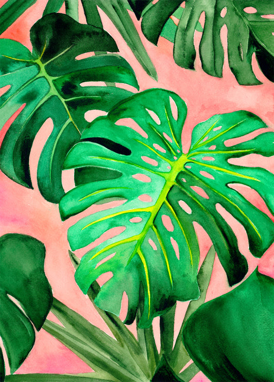 Monstera Art Print